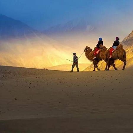 Hotel The Nubra Residency, Hunder المظهر الخارجي الصورة