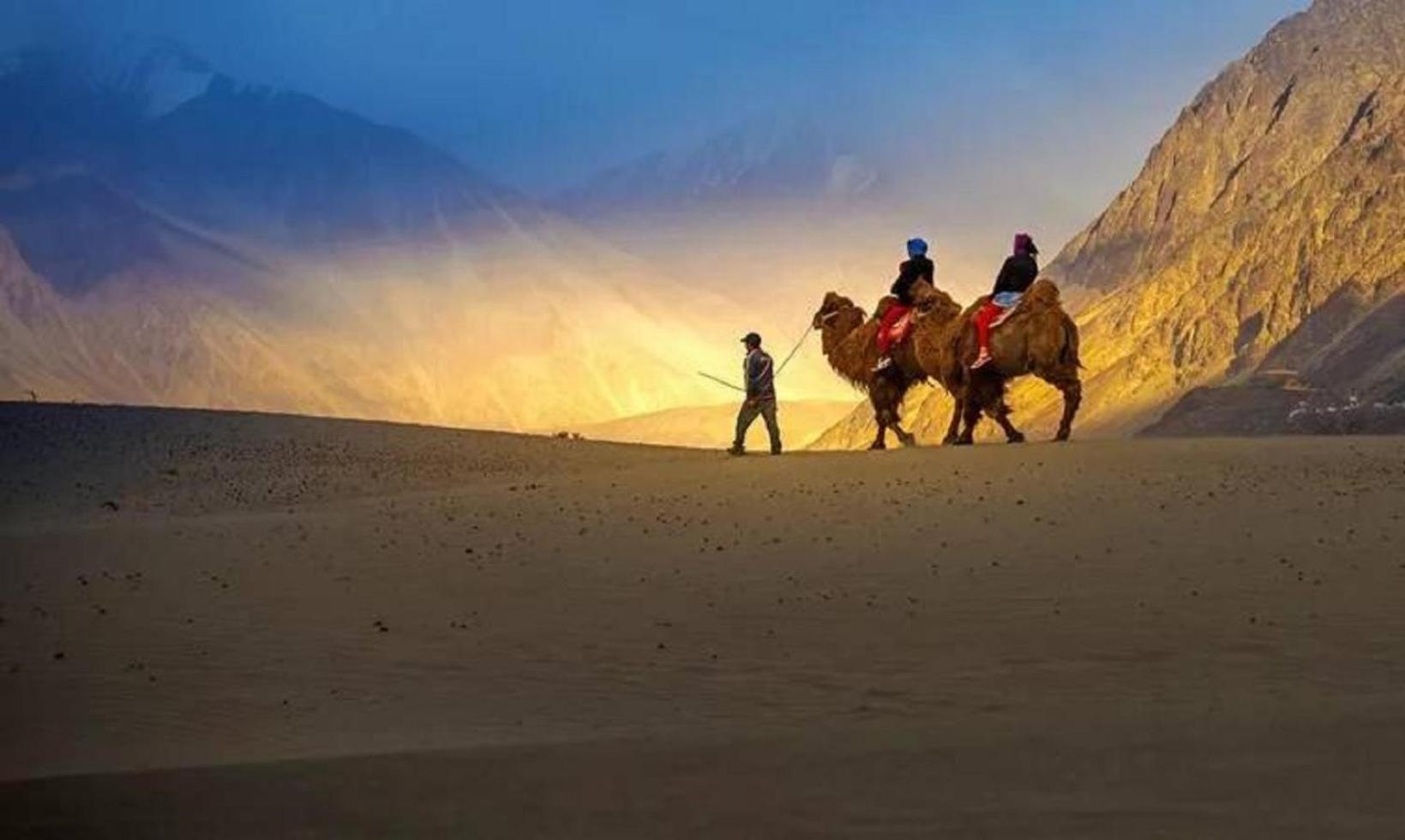 Hotel The Nubra Residency, Hunder المظهر الخارجي الصورة